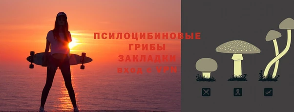 хмурый Богородск