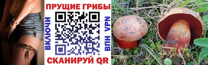 Купить закладки  Солнечногорск  Псилоцибиновые грибы Psilocybine cubensis 